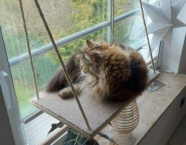 Katzen Fenster Platz Liege, Aussichtsplattform über der Fensterbank