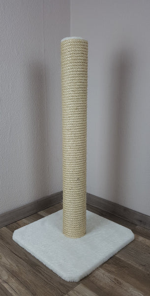 Kleiner Kratzstamm