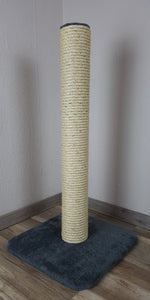 Kleiner Kratzstamm