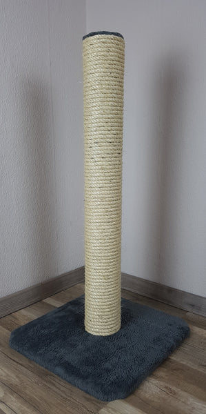 Kleiner Kratzstamm