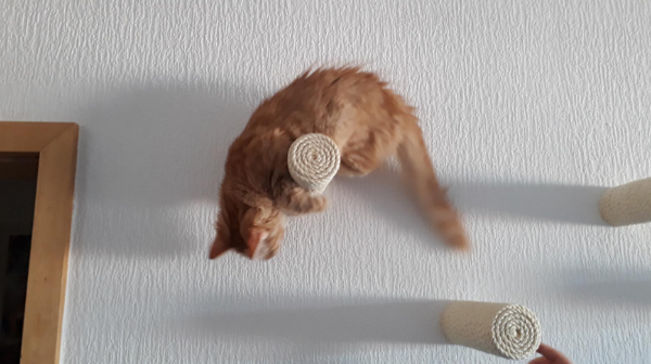 Sisal Kletter Stufen